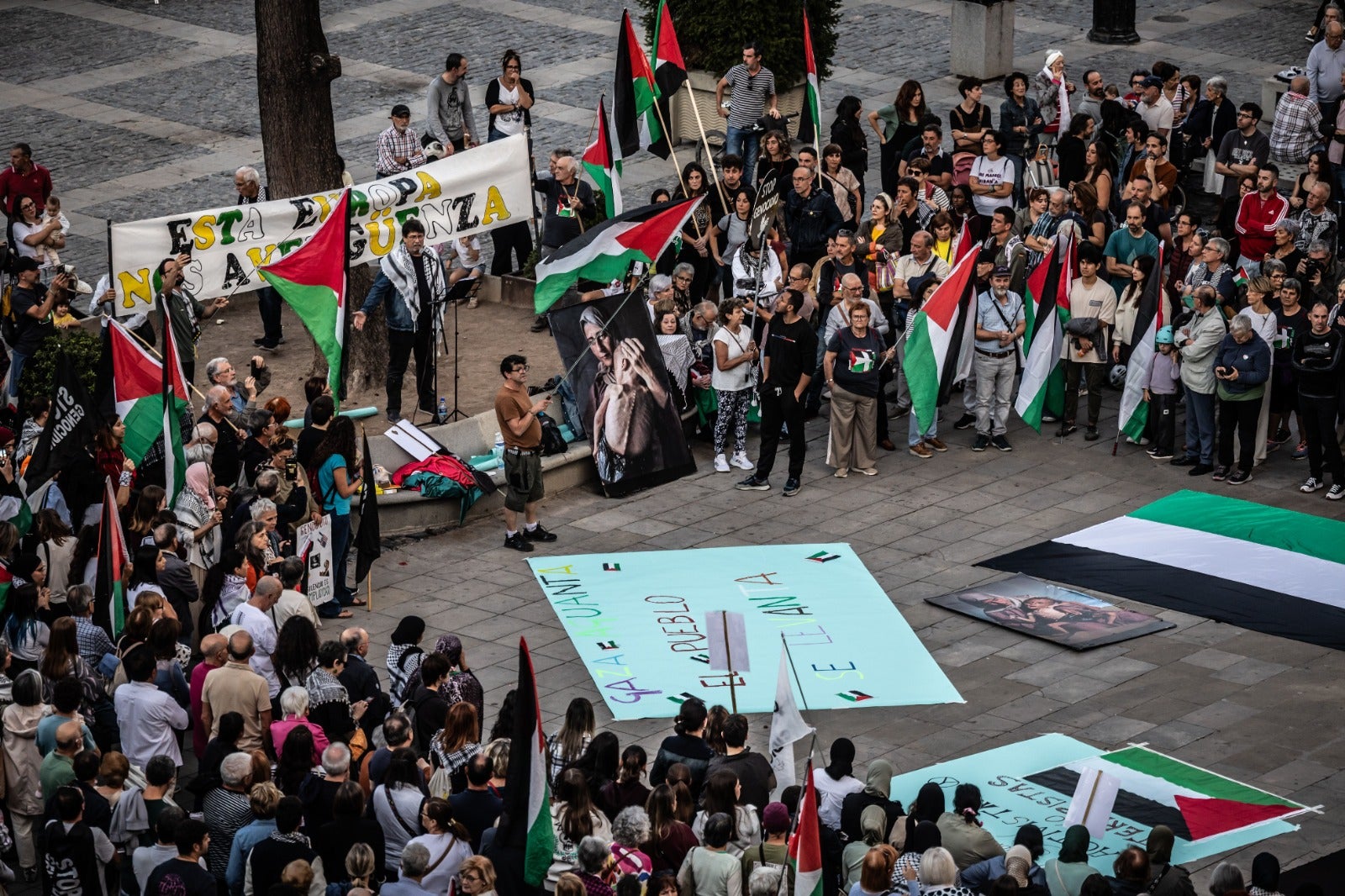 Manifestación en Logroño en apoyo al pueblo palestino