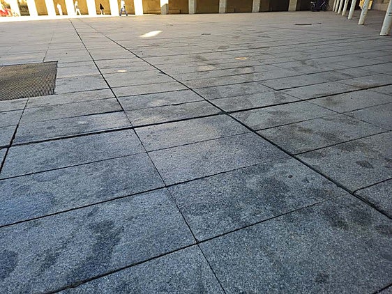 Baldosas arregladas, suciedad, colapso en urgencias... las quejas de hoy del teléfono del Lector