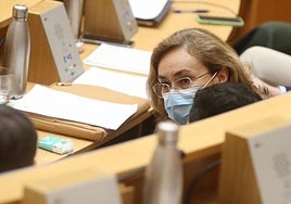 La consejera de Salud, María Martín, el pasado jueves en el Parlamento