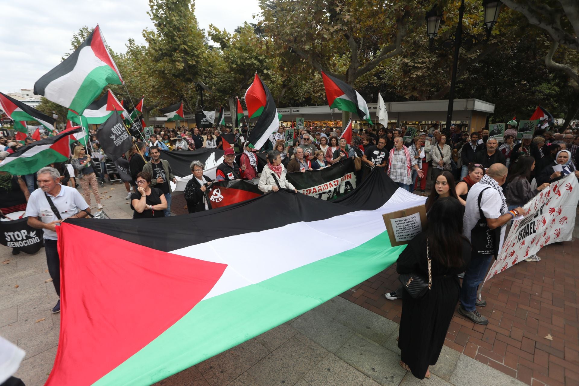 Manifestación de Logroño contra la guerra en Palestina