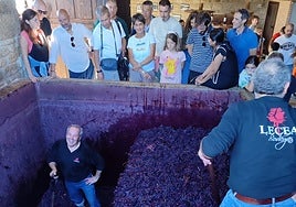 Pisado de uva en Bodegas Lecea.
