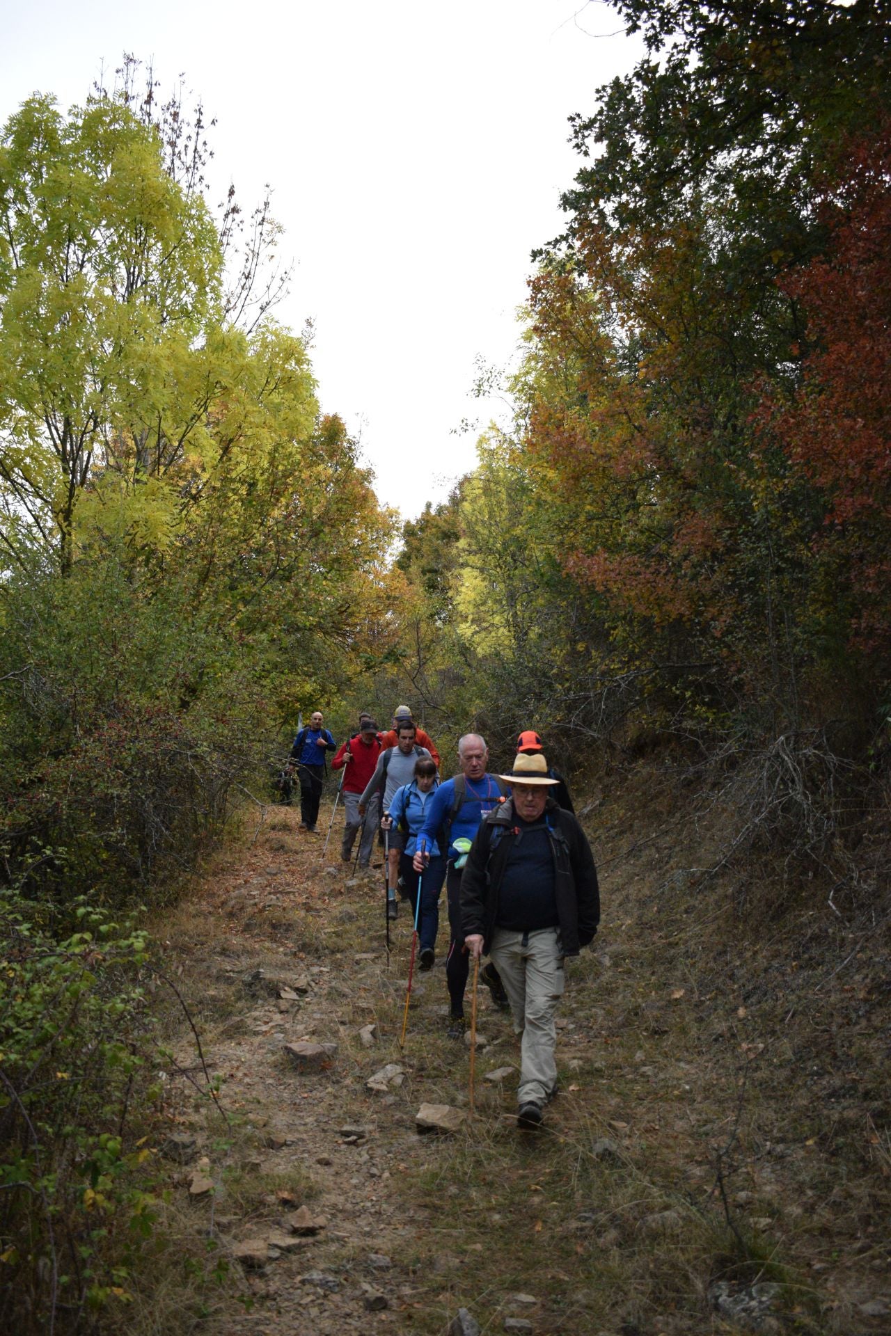 Las imágenes de la Marcha Hoyos de Iregua