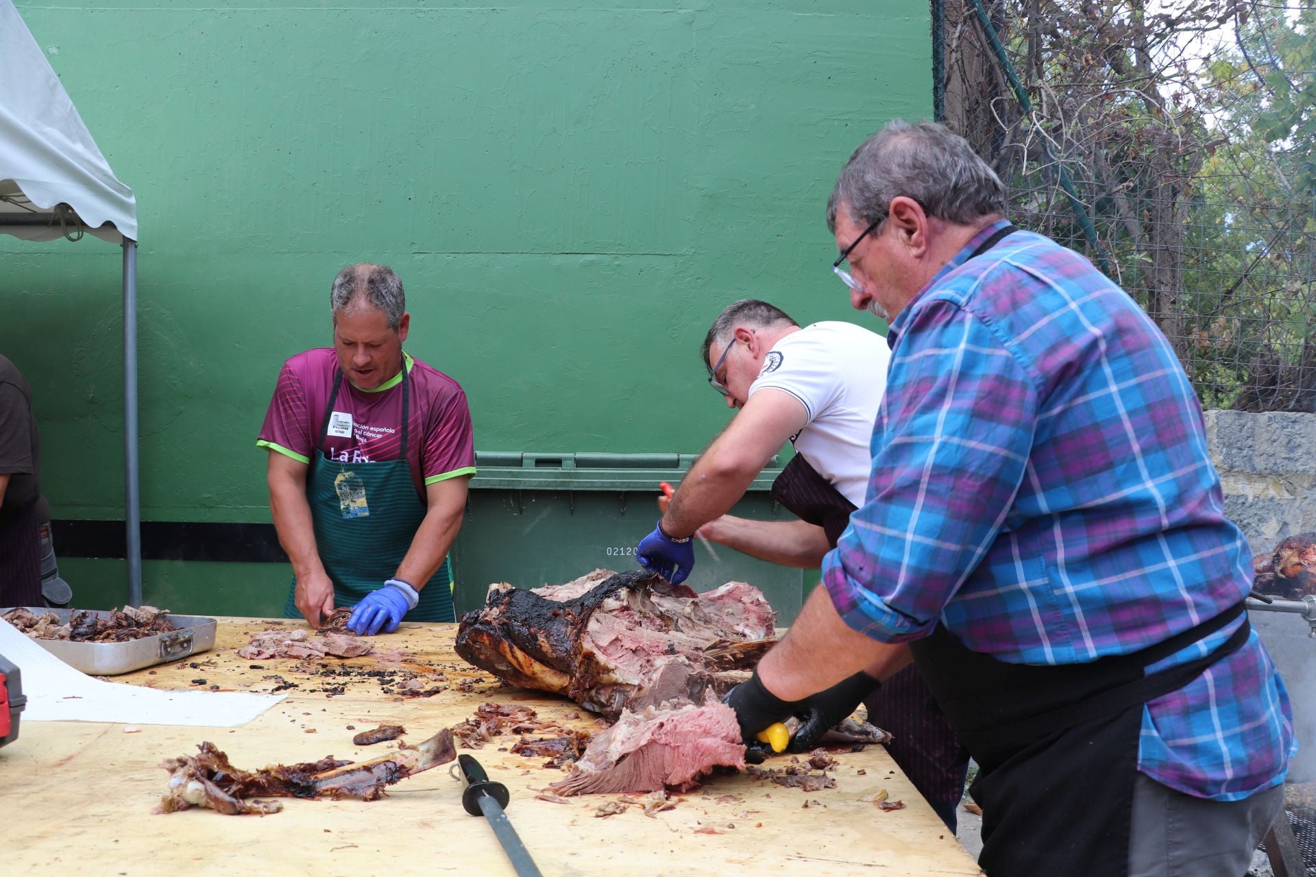 Las imágenes de la XXII Jornada de la Ternera Asada de Enciso