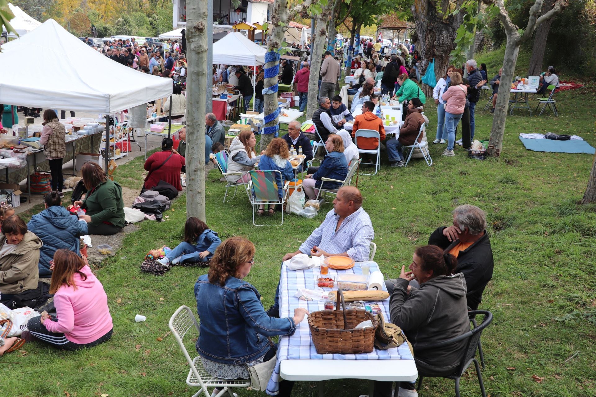 Las imágenes de la XXII Jornada de la Ternera Asada de Enciso