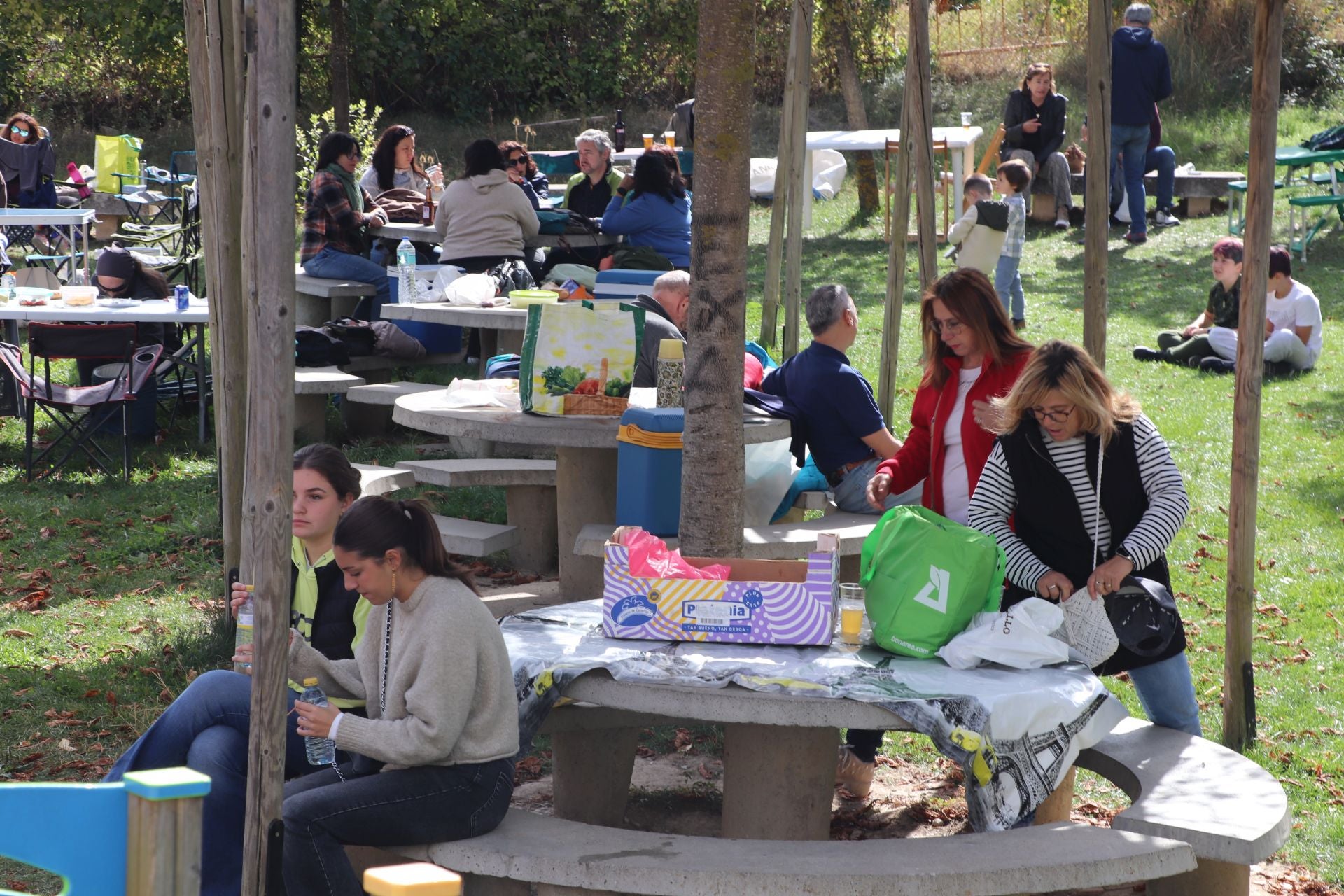 Las imágenes de la XXII Jornada de la Ternera Asada de Enciso
