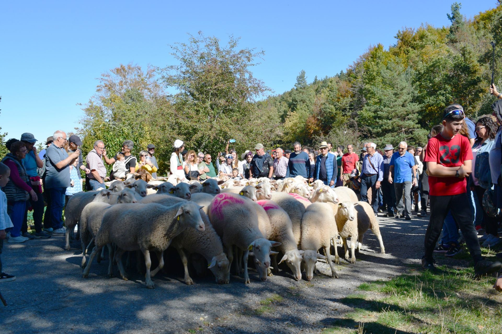 La XIX Fiesta de la Trashumancia, en imágenes
