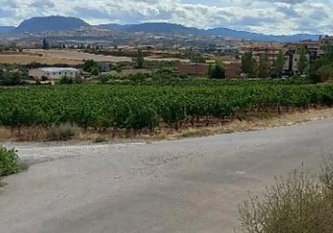 Los terrenos, años atrás, cuando aún contenía un viñedo de Rioja.