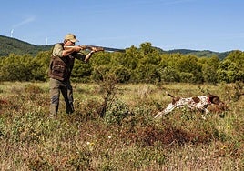 Un cazador practica caza menor junto a su perro.