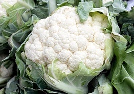 El 1 de noviembre comenzará la campaña de la coliflor.