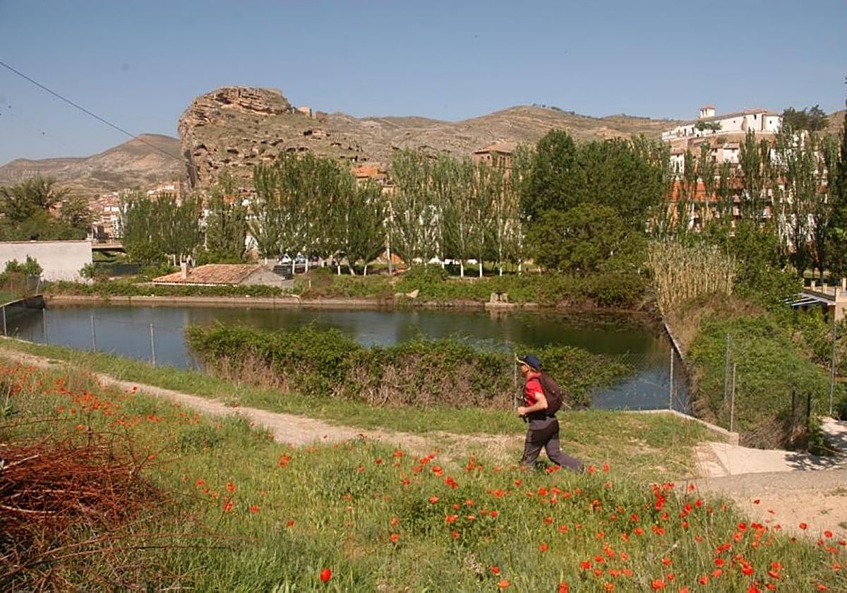 Camino Verde al llegar a Cervera.