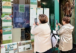 Unas mujeres hacen fotos a los destinos de los viajes del Imserso en una agencia logroñesa.