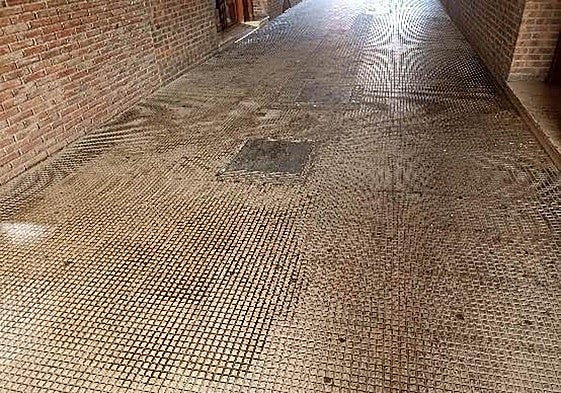 Los aseos autolimpiables, en el Teléfono del Lector