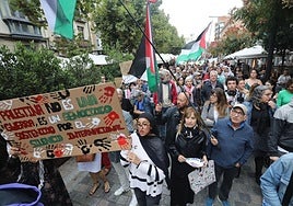 Manifestación del sábado en apoyo de Palestina en Logroño.