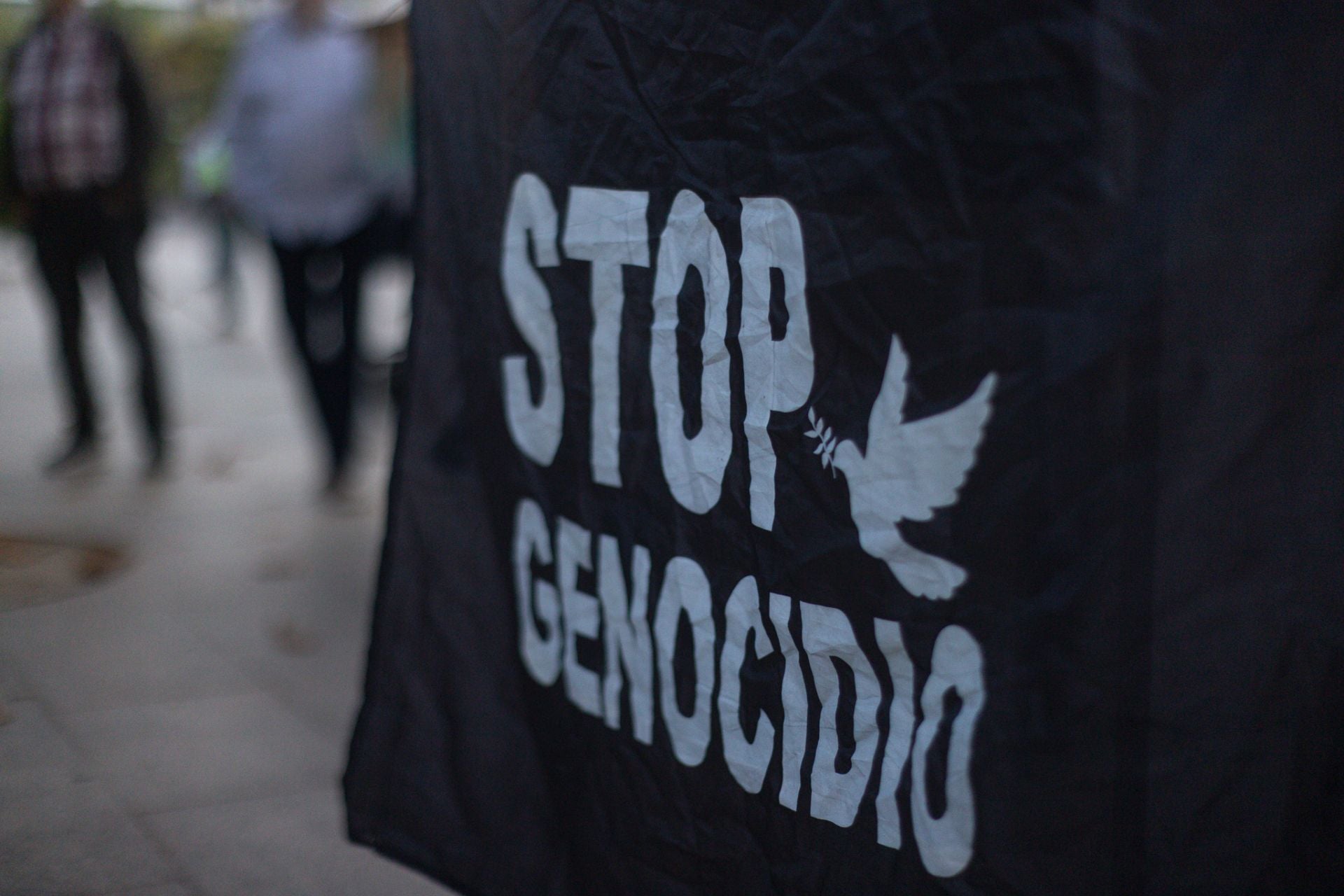 Protesta en Logroño contra la masacre en Gaza