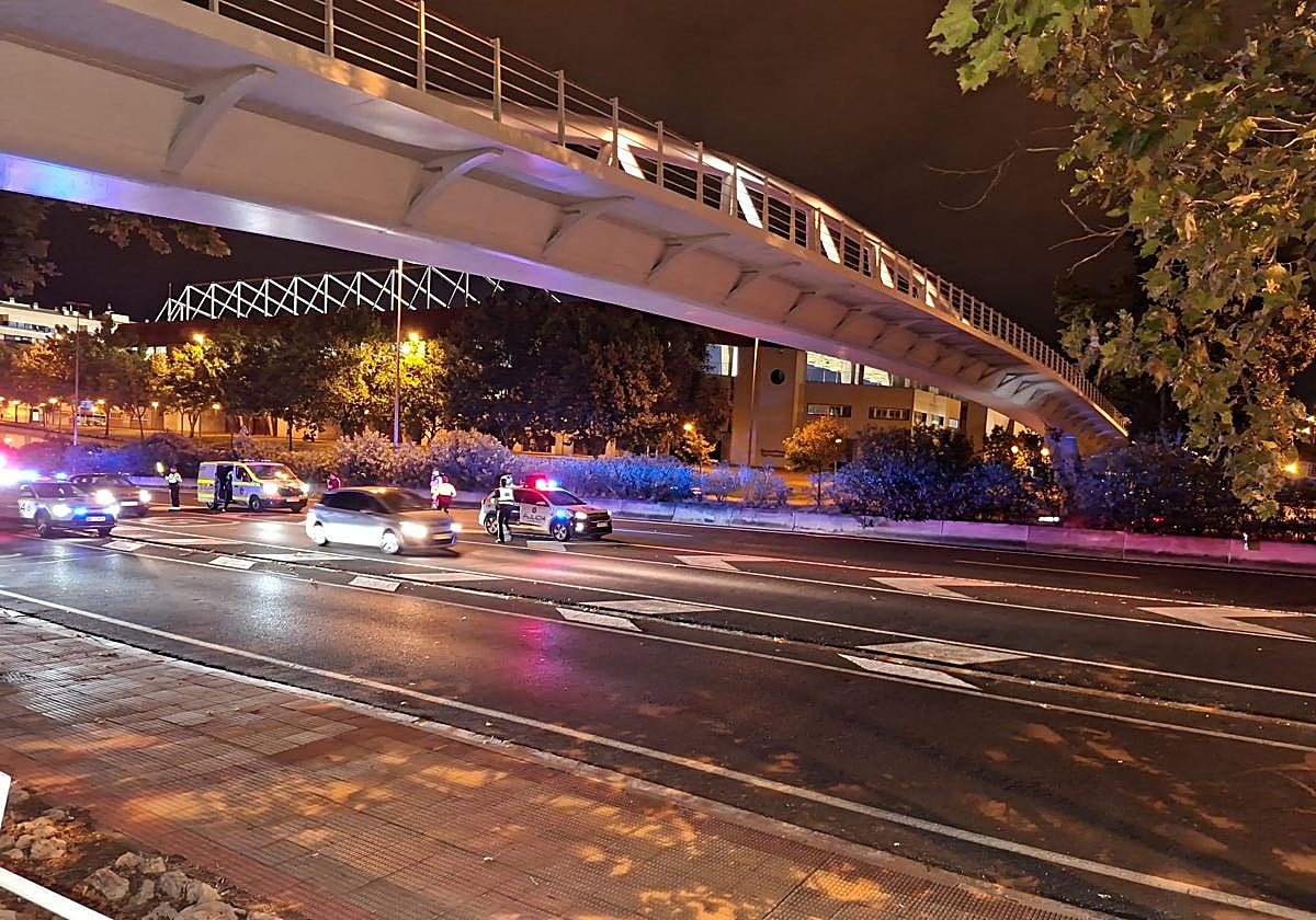 Lugar en el que se produjo el atropello, minutos después del suceso.