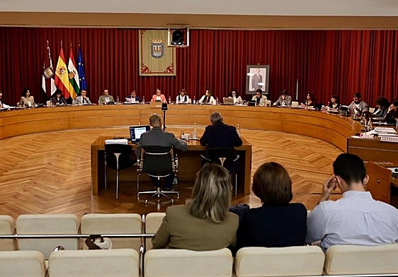 Imagen del pleno de Logroño, este jueves.