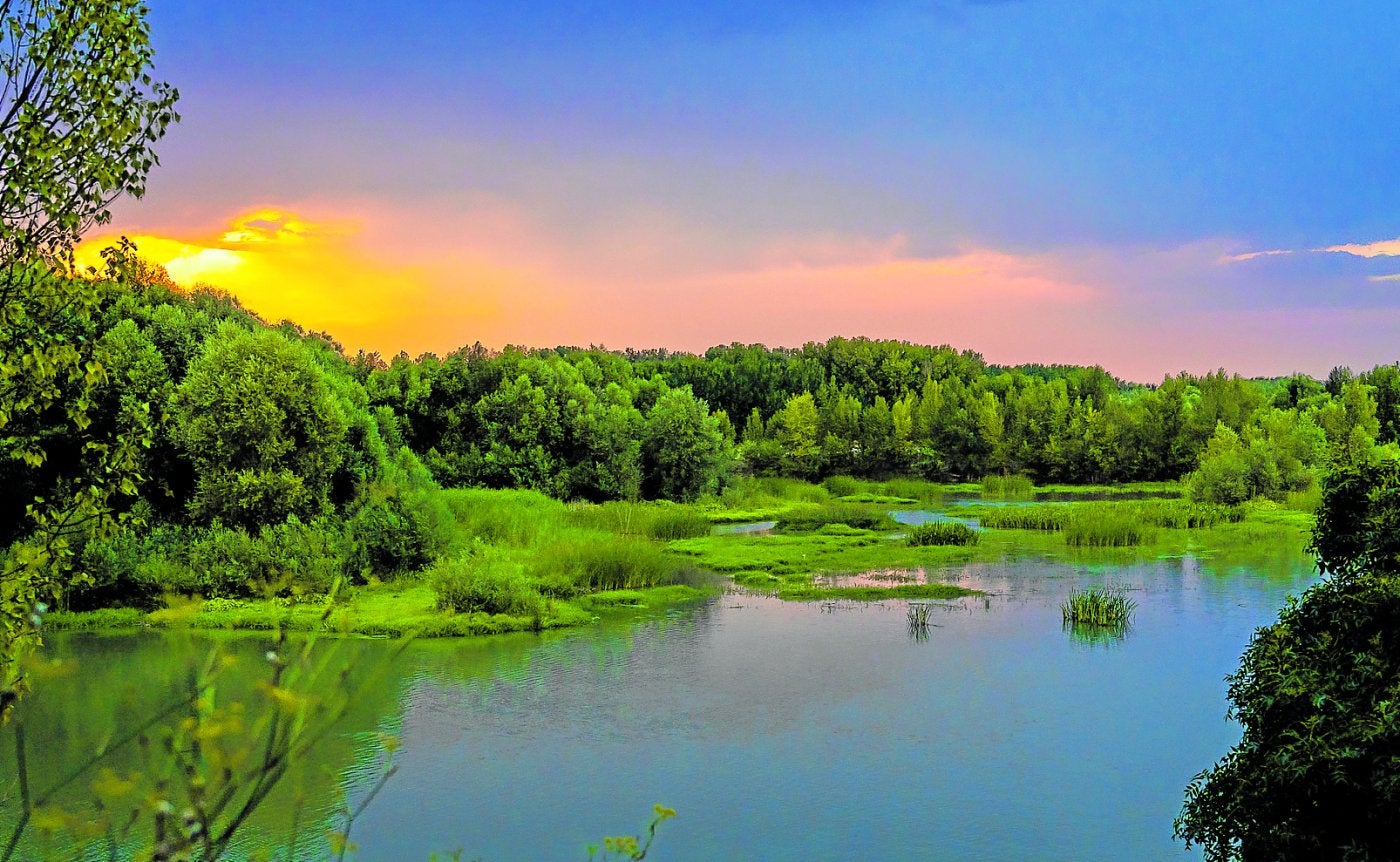 Atarceder en la reserva natural de los Sotos del Ebro de Alfaro, ganadora del concurso local promovido desde el Ayuntamiento.
