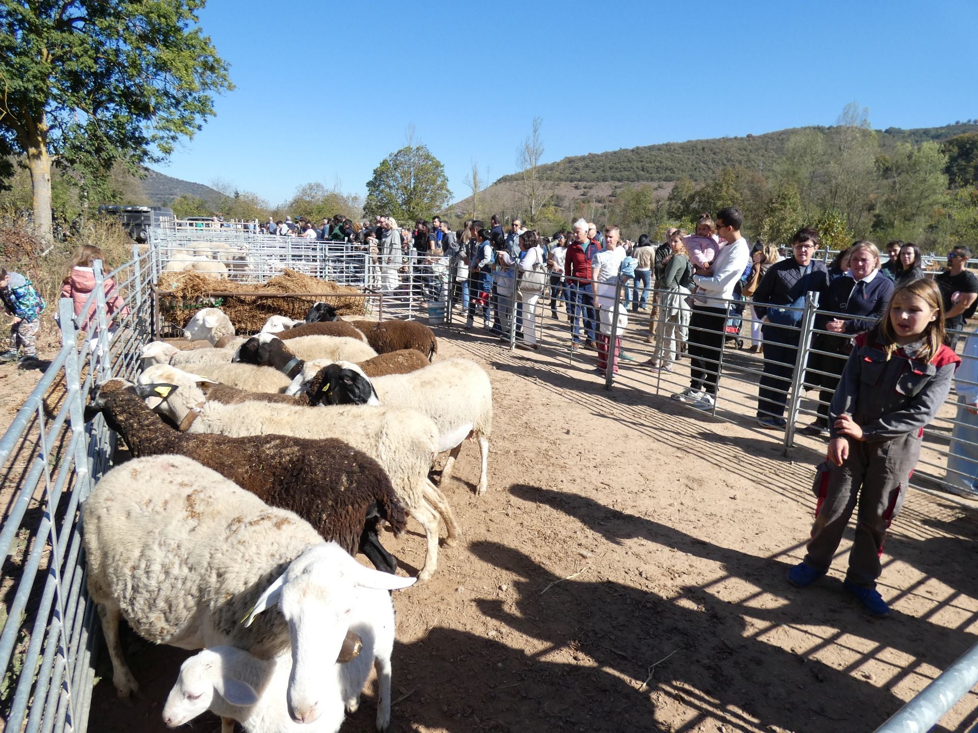XXI Feria Ganadera y Artesanía Agroalimentaria de Ojacastro