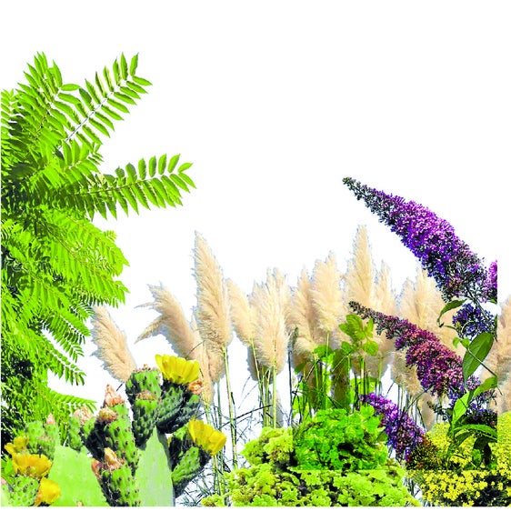 ¿Cuáles son las plantas invasoras más habituales en La Rioja?