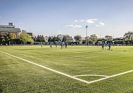 Panorámica del nuevo campo de La Estrella.