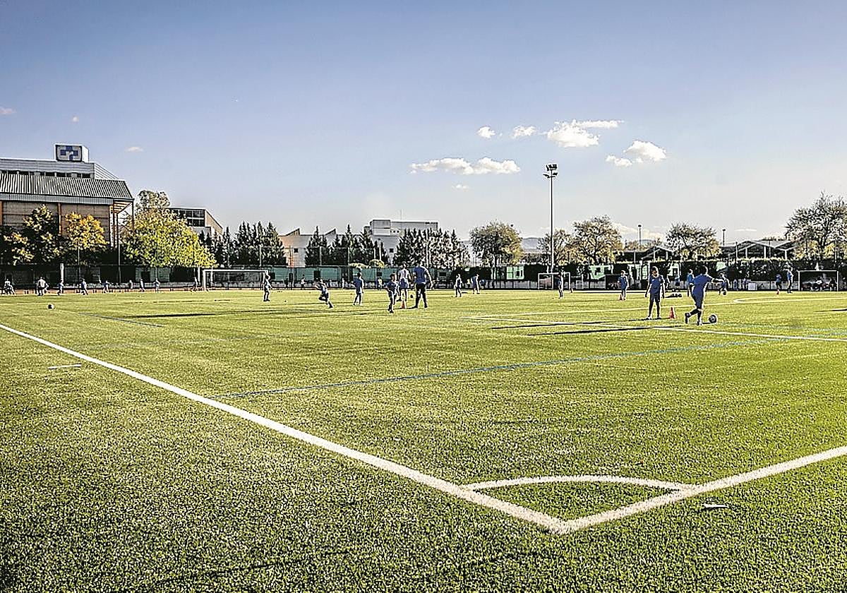 Panorámica del nuevo campo de La Estrella.