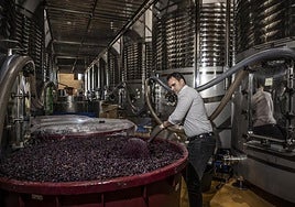 José Luis Heras, en la bodega con sus vinos.