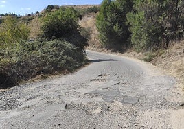 La acogida de menores migrantes, en el Teléfono del Lector de hoy