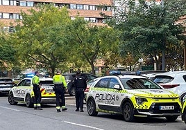 Policías locales y nacionales durante la actuación.
