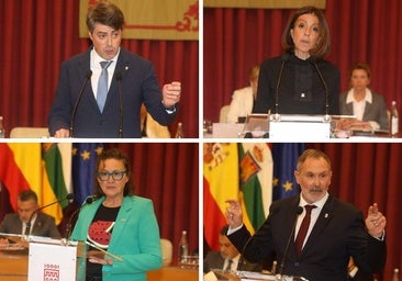 PSOE, Vox, Podemos-IU y PR+ suspenden al PP y piden al alcalde rectificar por el bien de Logroño