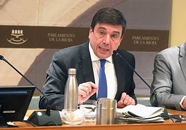 El consejero de Educación, Alberto Galiana, durante su comparecencia.