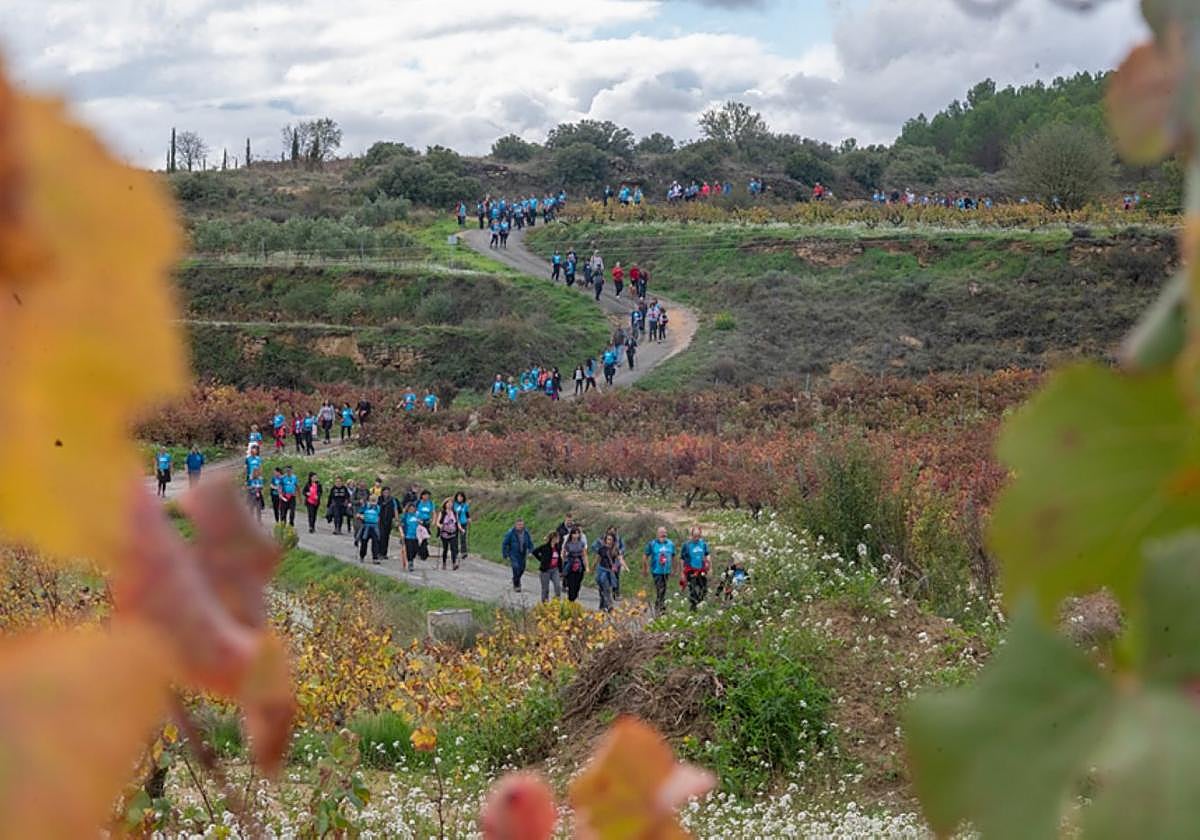Marcha popular de la Wine Run Rioja Alavesa en la pasada edición.