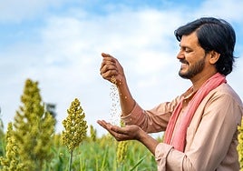 Hasta cuatro superalimentos protéicos