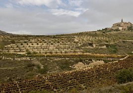 Viñedos y, al fondo, Labraza, pedanía de Oyón, en Rioja Alavesa.
