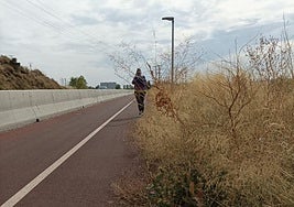 El carril ciclopeatonal cercano al polígono industrial de Logroño, hoy en La Guindilla.