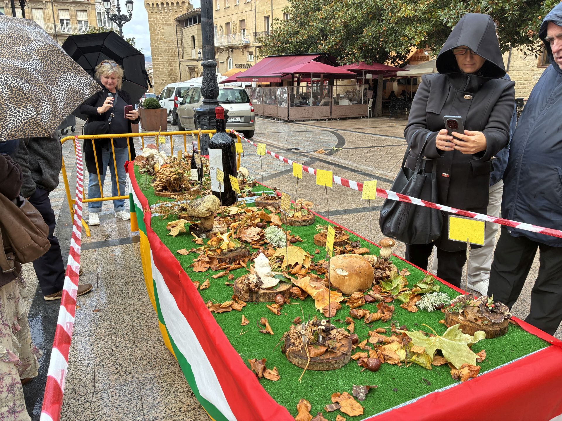 Las XXXI Jornadas Micológicas Jarreras, en imágenes