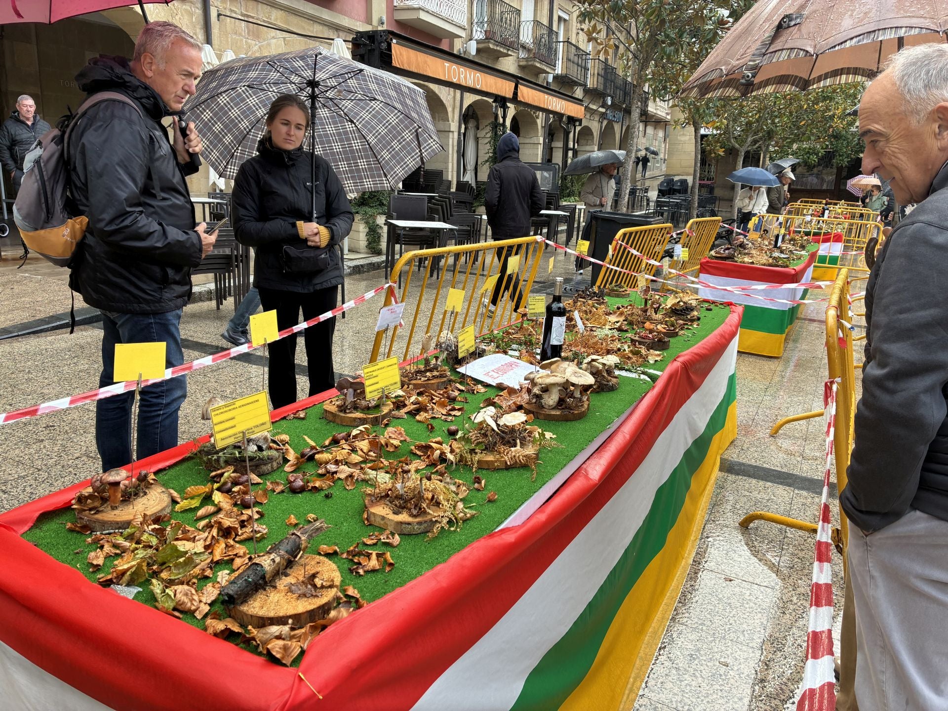 Las XXXI Jornadas Micológicas Jarreras, en imágenes