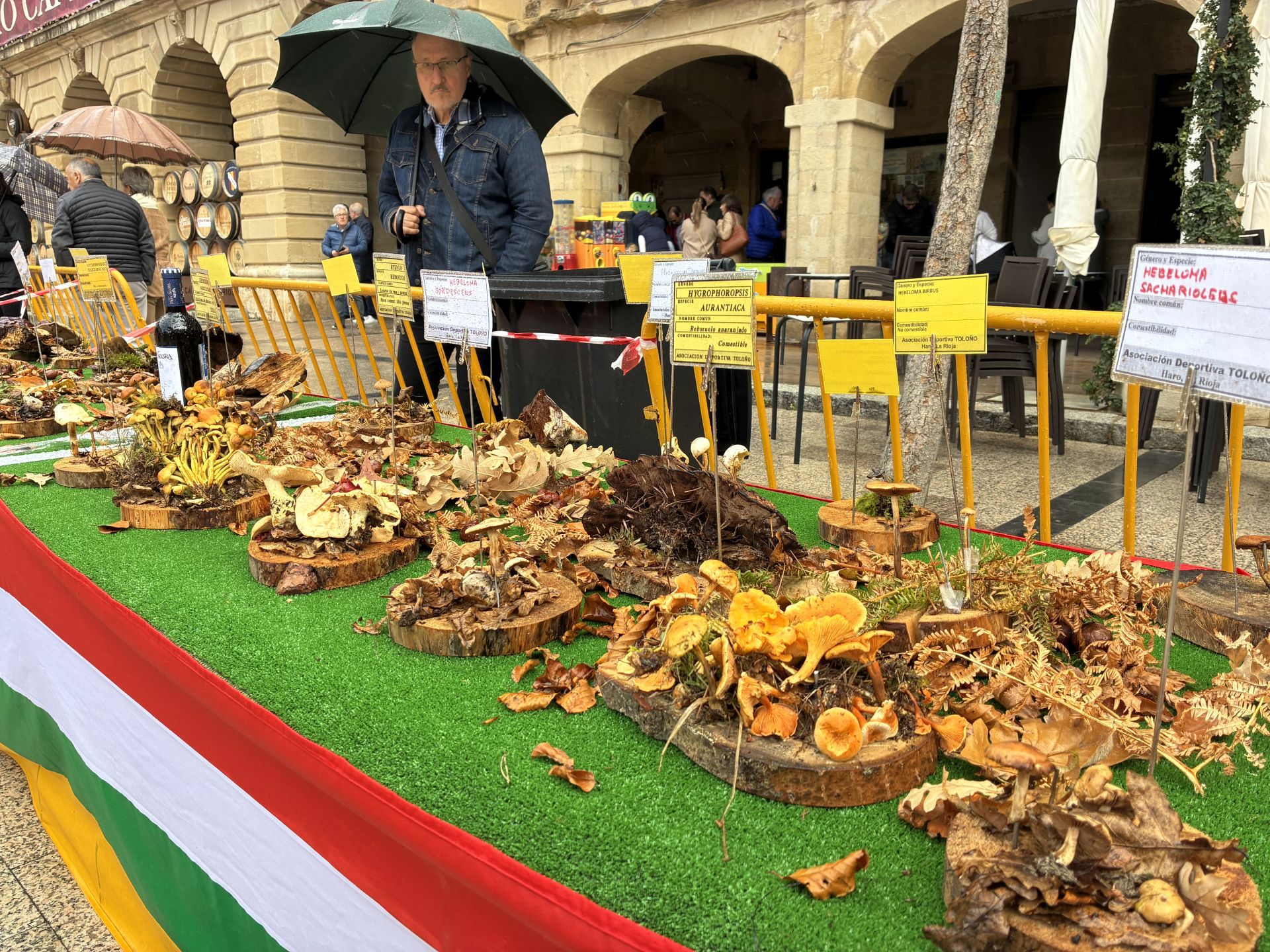 Las XXXI Jornadas Micológicas Jarreras, en imágenes