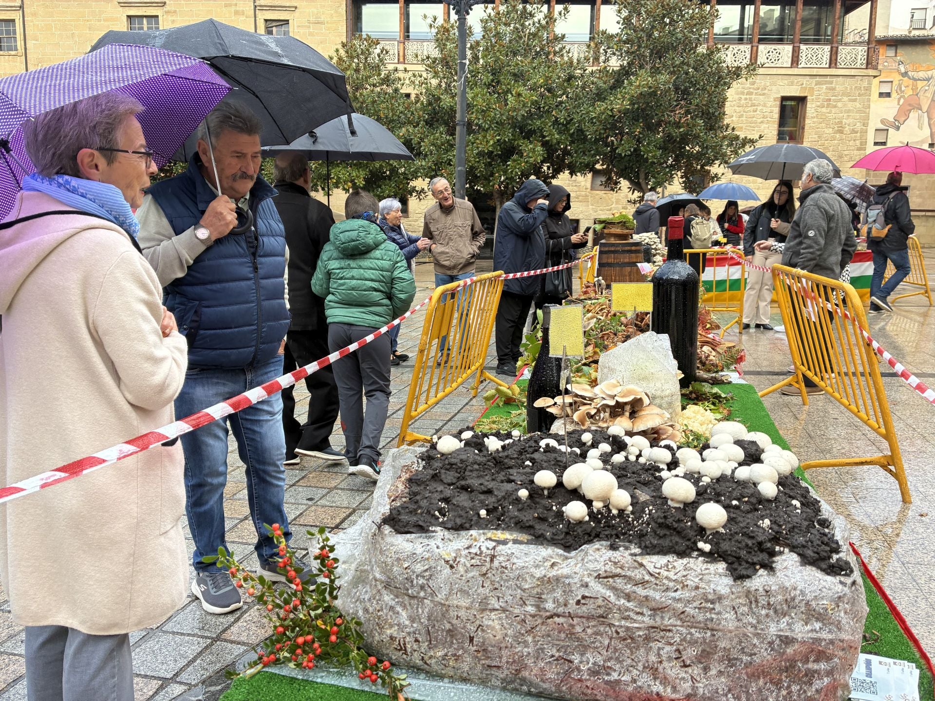 Las XXXI Jornadas Micológicas Jarreras, en imágenes