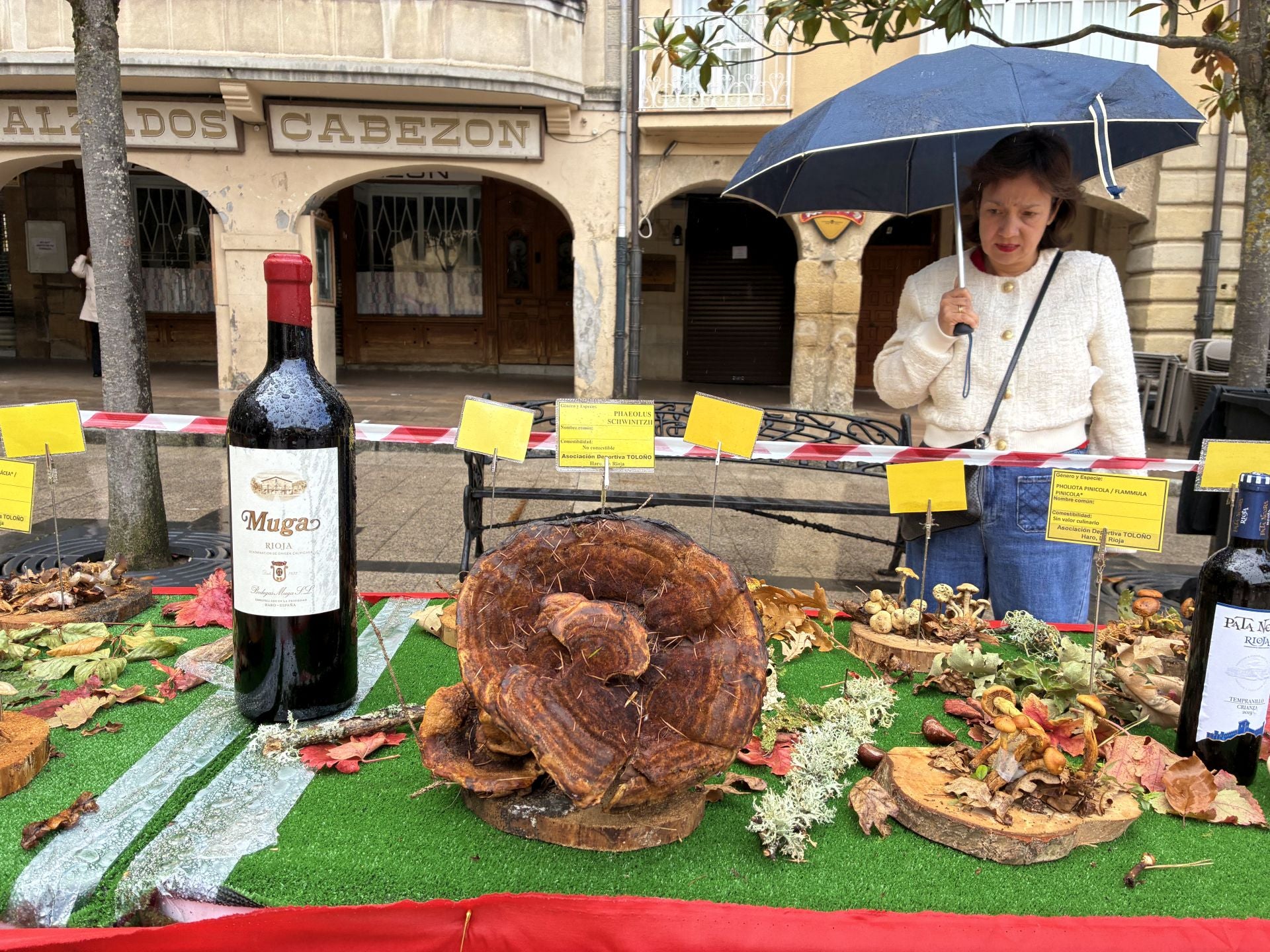 Las XXXI Jornadas Micológicas Jarreras, en imágenes