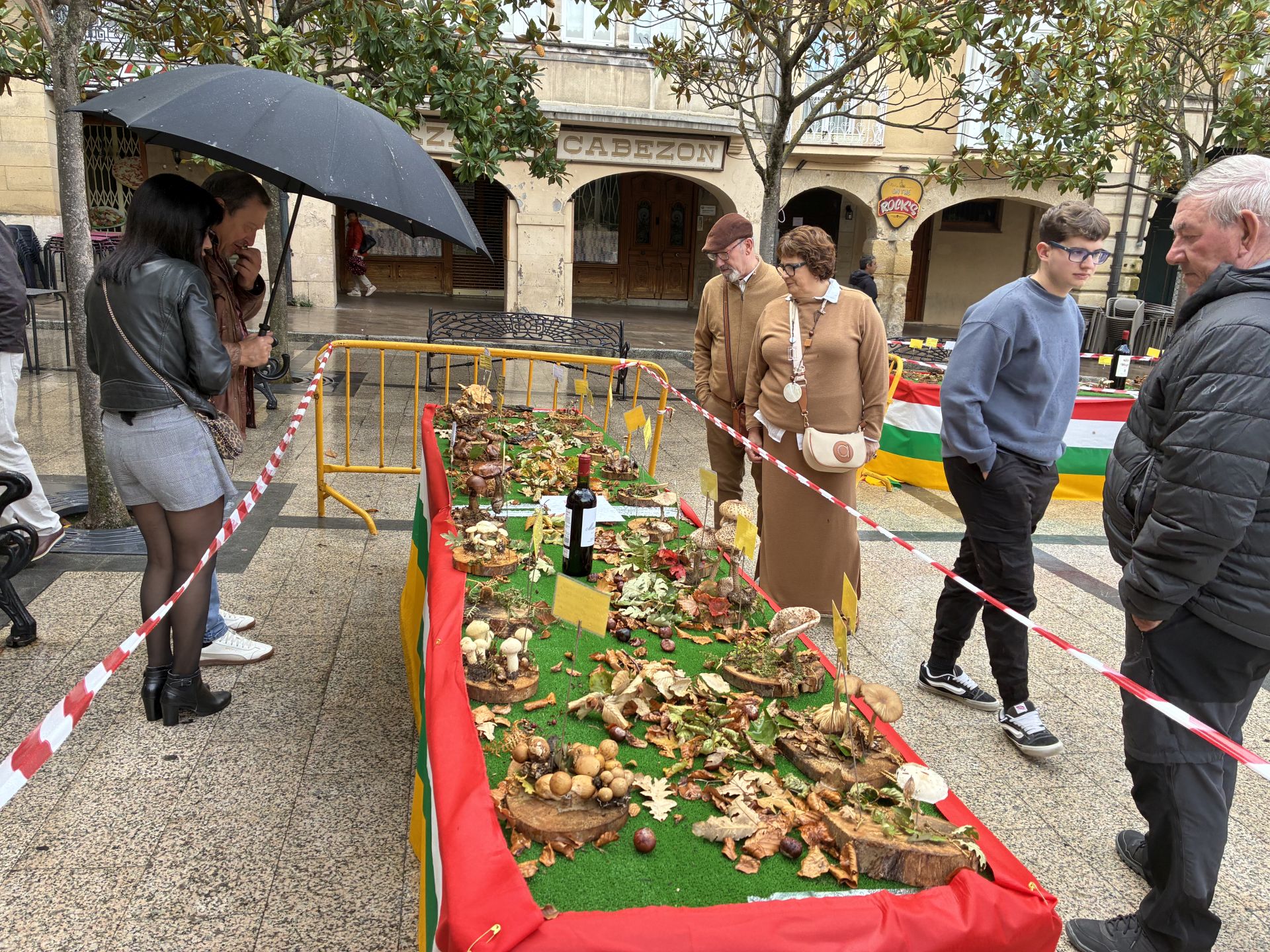 Las XXXI Jornadas Micológicas Jarreras, en imágenes