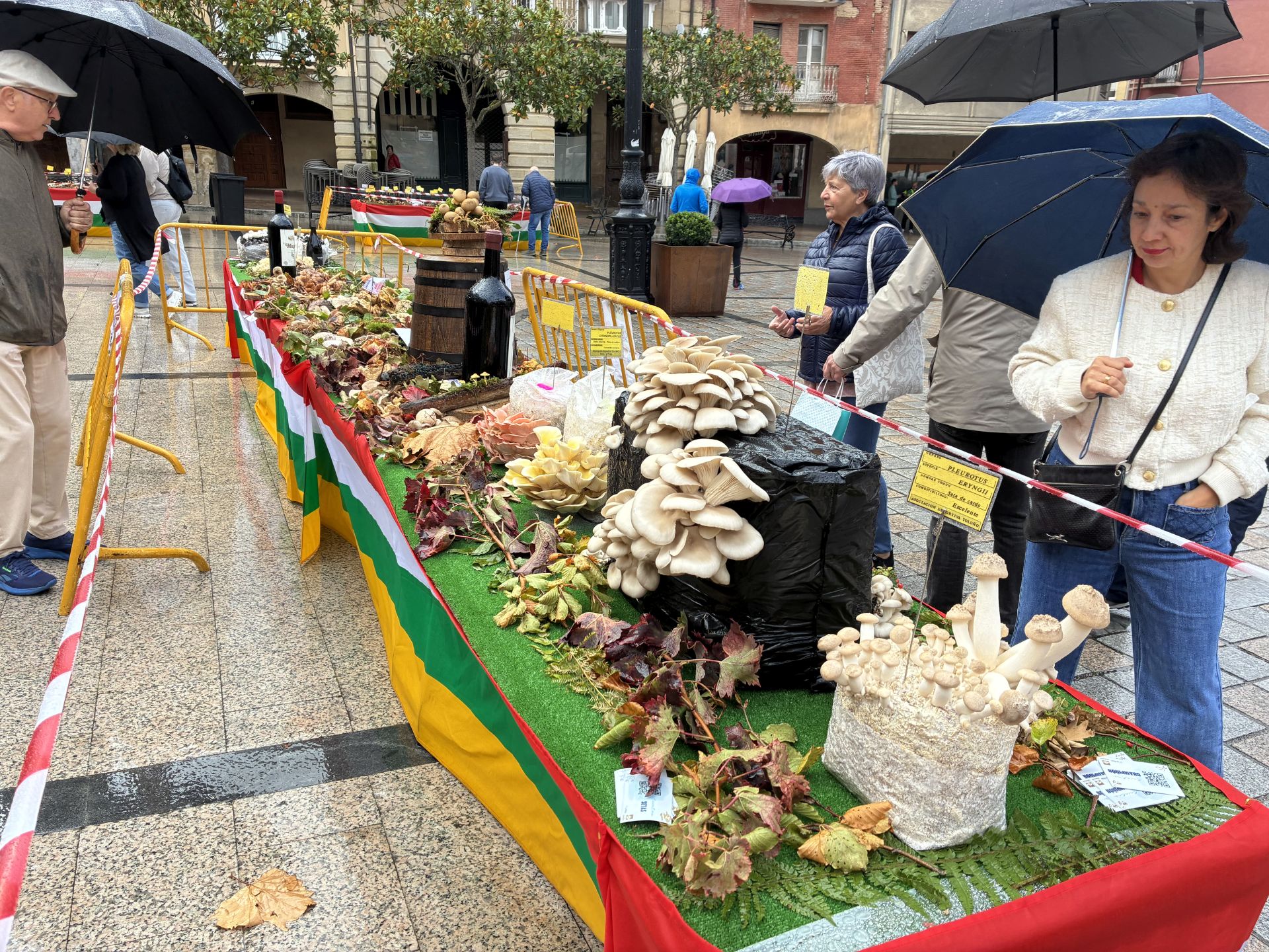 Las XXXI Jornadas Micológicas Jarreras, en imágenes