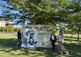 El impulsor de ADN Canino en Haro, obligado a dimitir en Xátiva por crear la empresa que lo gestionaría