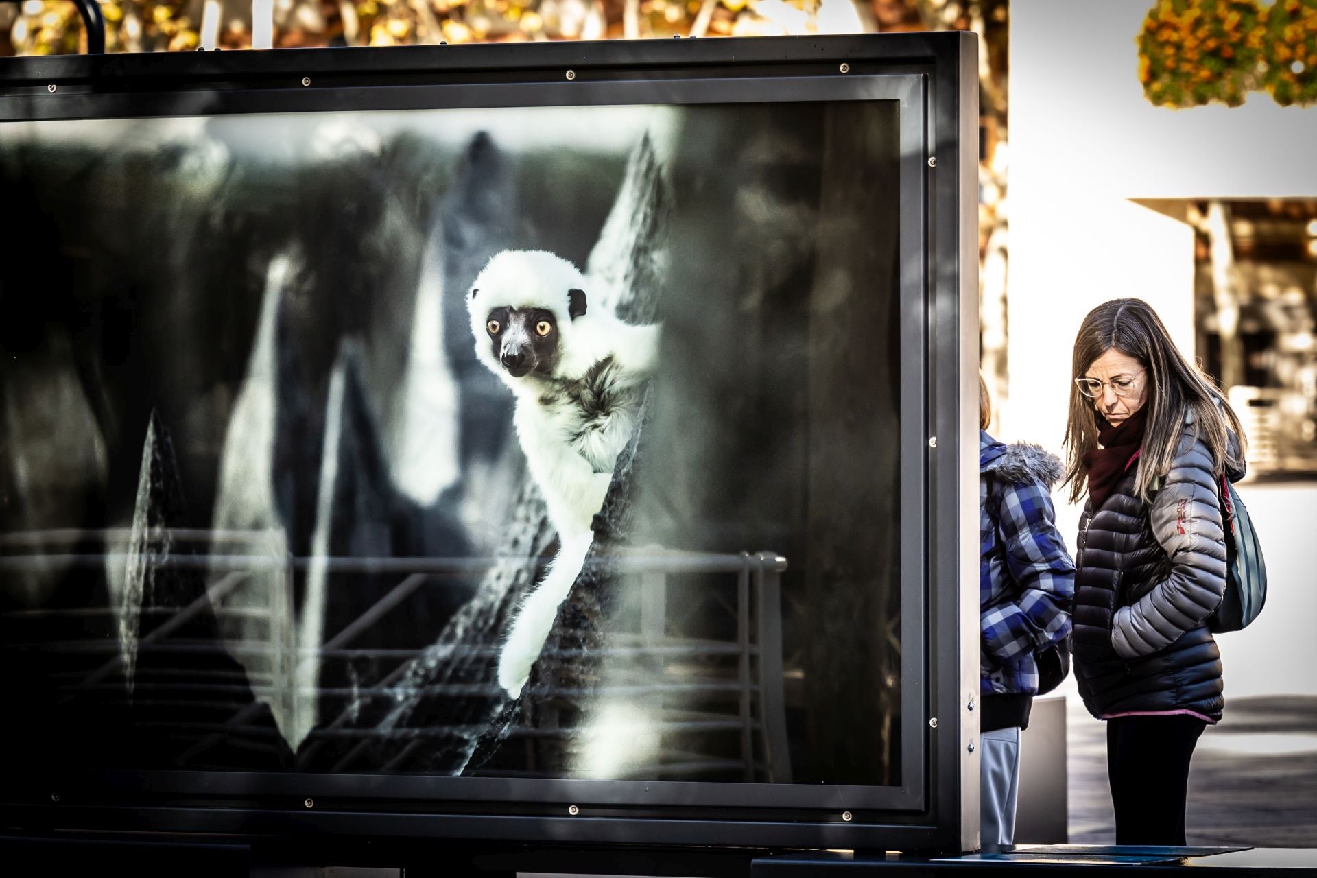 La exposición &#039;Colores del mundo&#039;, por las calles de Logroño