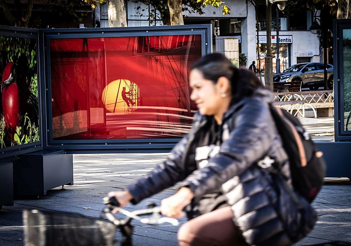 La exposición &#039;Colores del mundo&#039;, por las calles de Logroño
