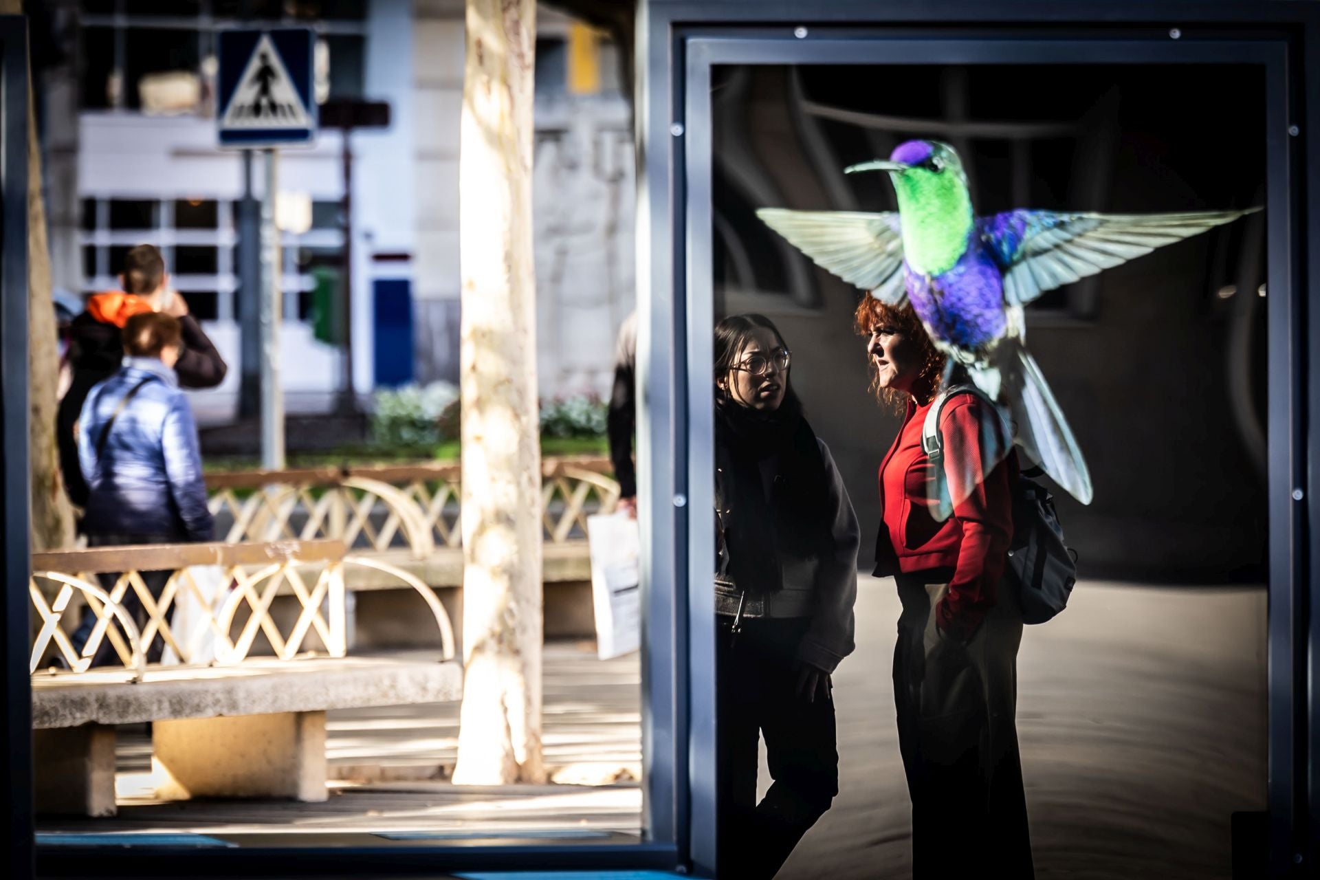 La exposición &#039;Colores del mundo&#039;, por las calles de Logroño