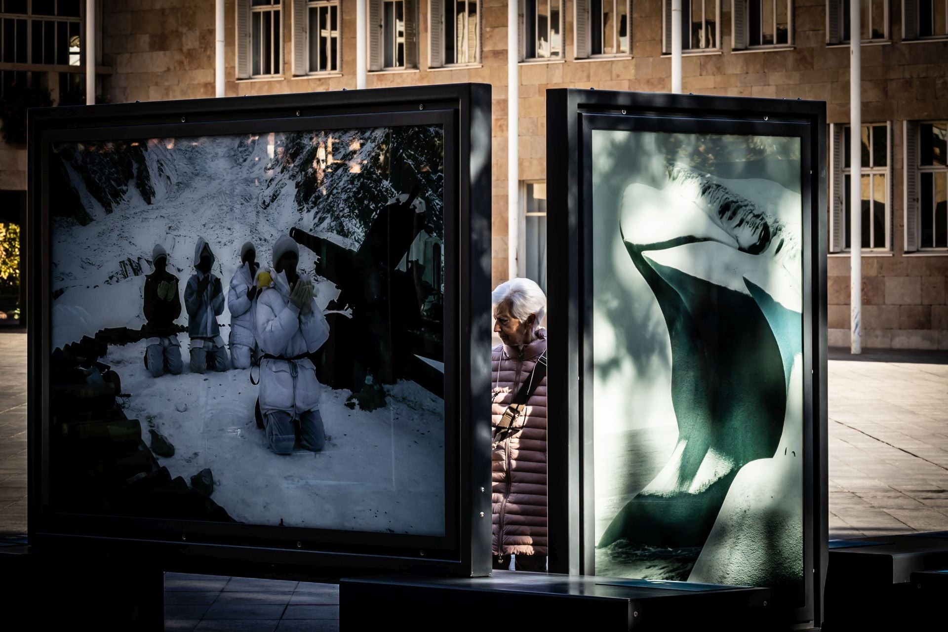 La exposición &#039;Colores del mundo&#039;, por las calles de Logroño
