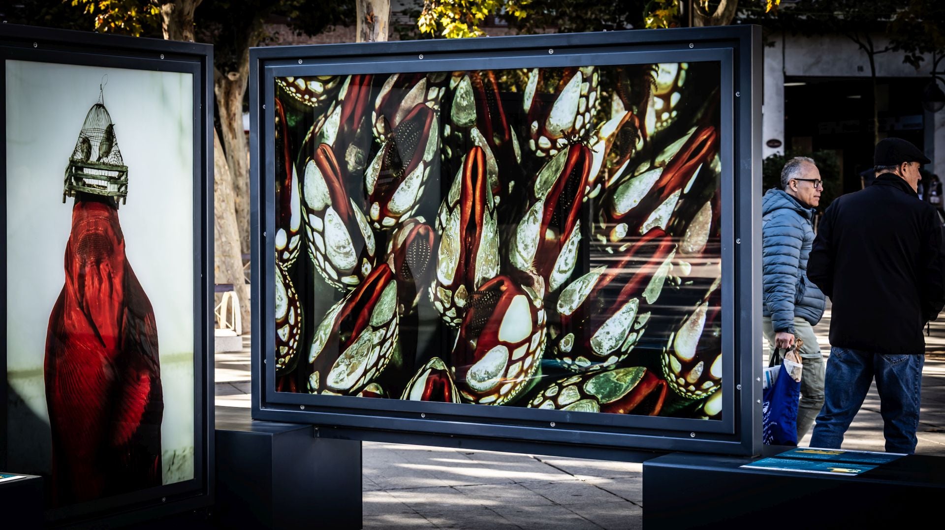 La exposición &#039;Colores del mundo&#039;, por las calles de Logroño