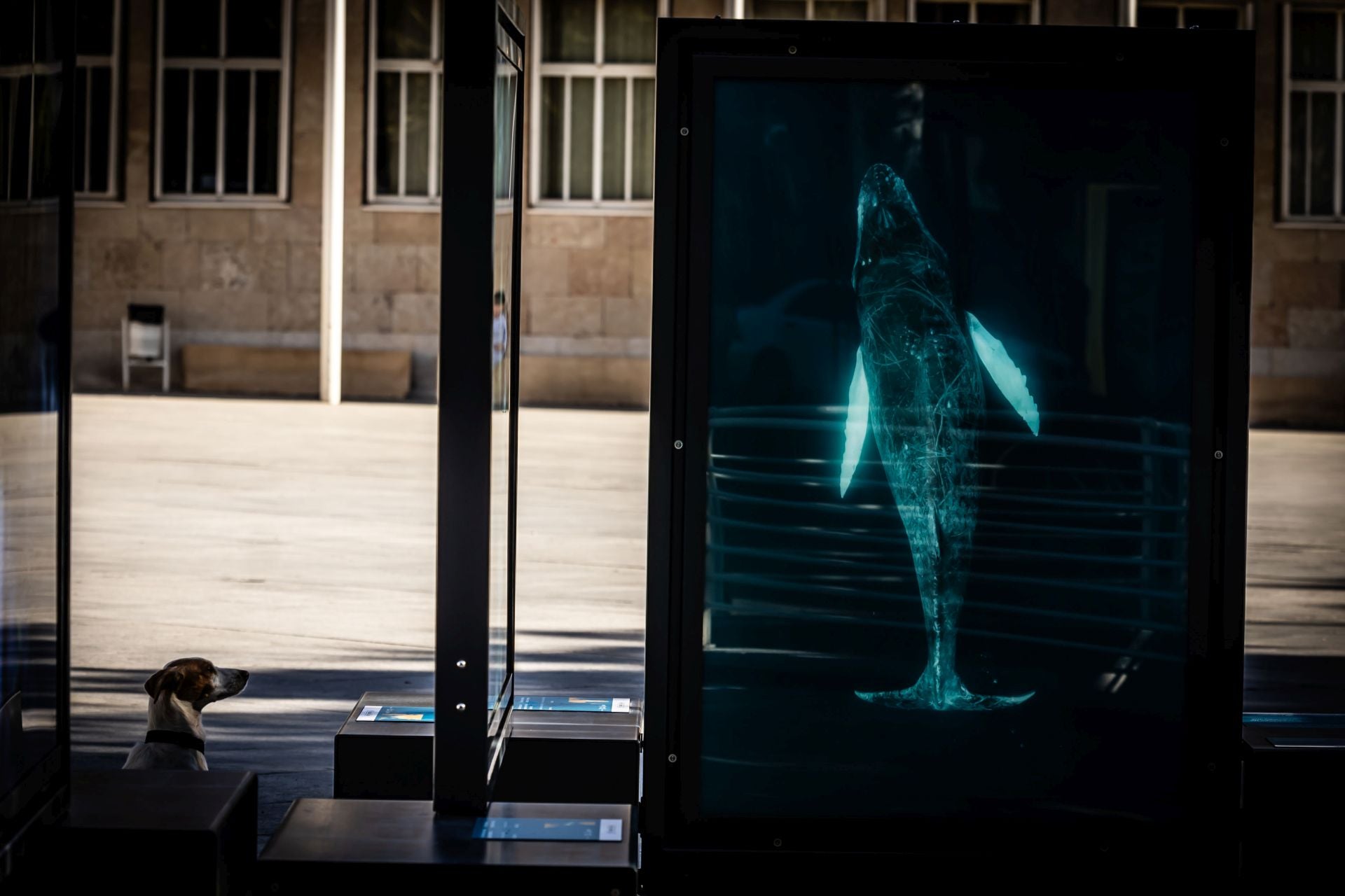 La exposición &#039;Colores del mundo&#039;, por las calles de Logroño