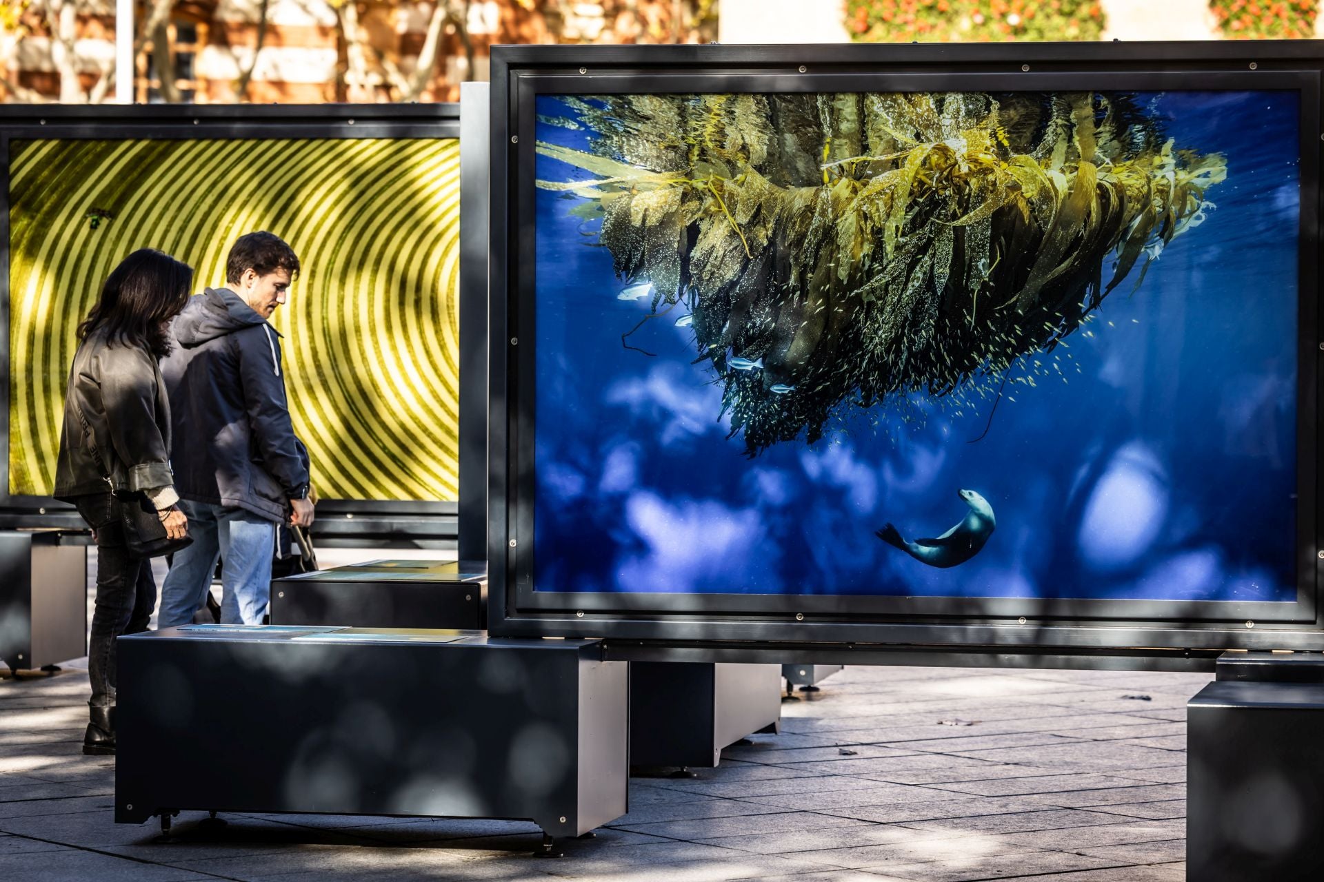 La exposición &#039;Colores del mundo&#039;, por las calles de Logroño