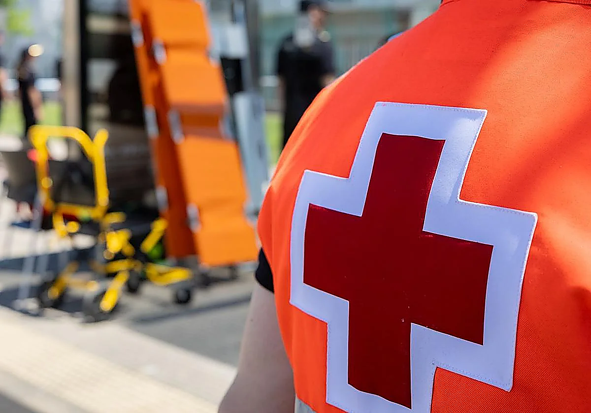 Cuatro heridos tras atropellar a un jabalí en el camino de Azofra a Hormilla